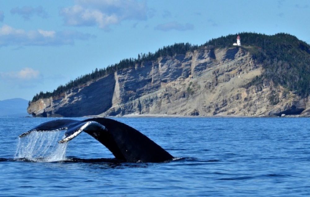 vacances en famille - canada